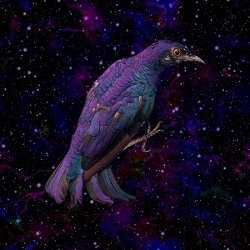 Member Avatar