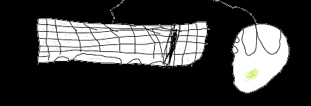 Posted Image
