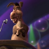 Donkeys Shouldnt Sing