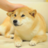doge