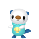 Oshawott