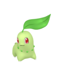 Chikorita
